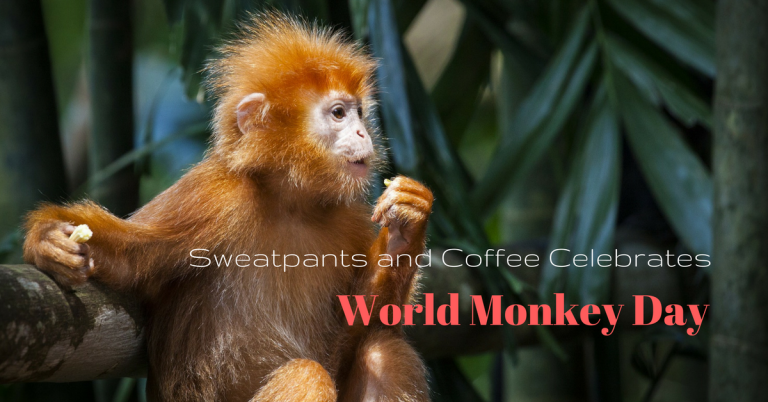 150+ Best Monkey Captions for Instagram in 2025: Swing into Fun with Playful & Witty Captions